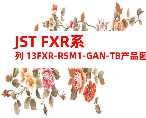 JST FXR系列 13FXR-RSM1-GAN-TB产品图纸
